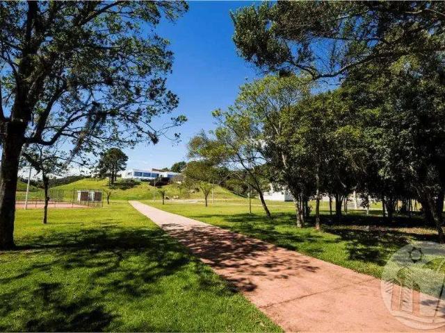 Terreno / Lote para Venda em Camboriú/SC Santa Regina