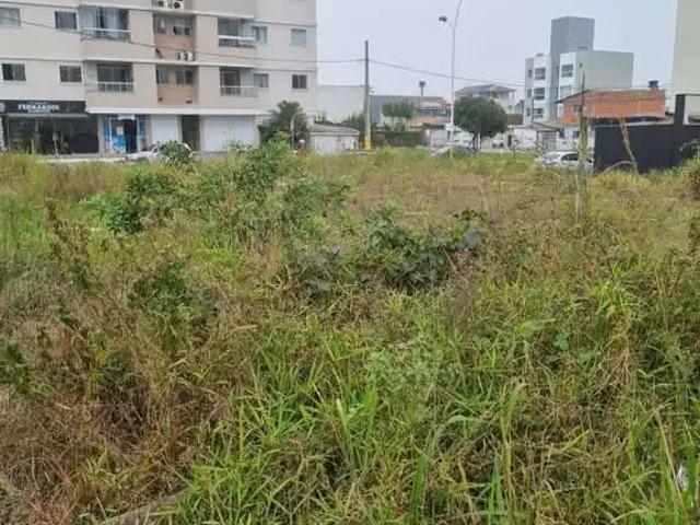 Terreno / Lote para Venda em Camboriú/SC Santa Regina