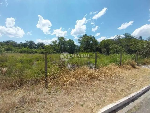 Terreno / Lote para Venda em Camboriú/SC Santa Regina