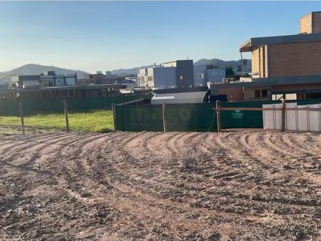 Terreno / Lote para Venda em Camboriú/SC Santa Regina