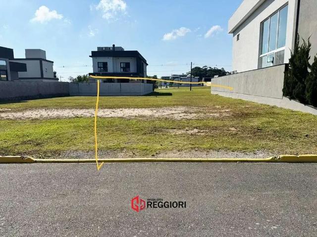 Terreno / Lote para Venda em Camboriú/SC Santa Regina