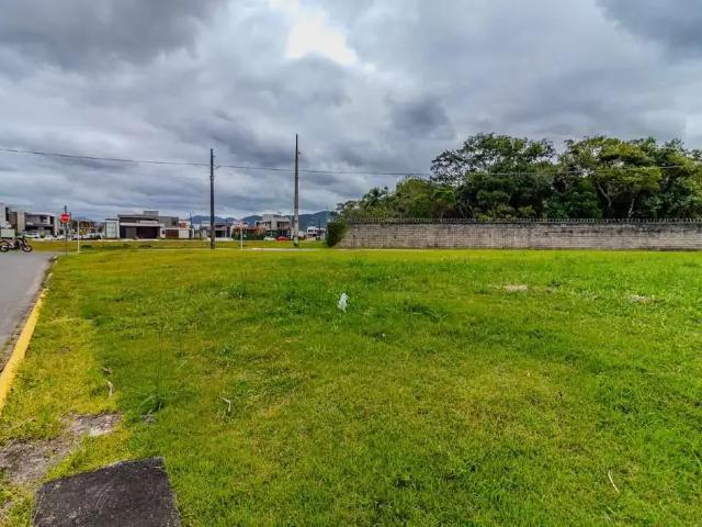 Terreno / Lote para Venda em Camboriú/SC Santa Regina