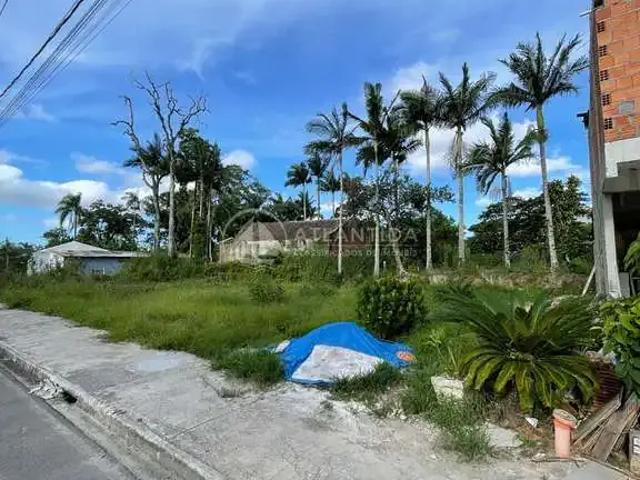 Terreno / Lote para Venda em Camboriú/SC Santa Regina VII