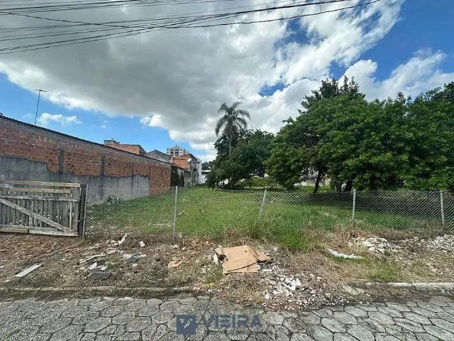 Terreno / Lote para Venda em Camboriú/SC Tabuleiro