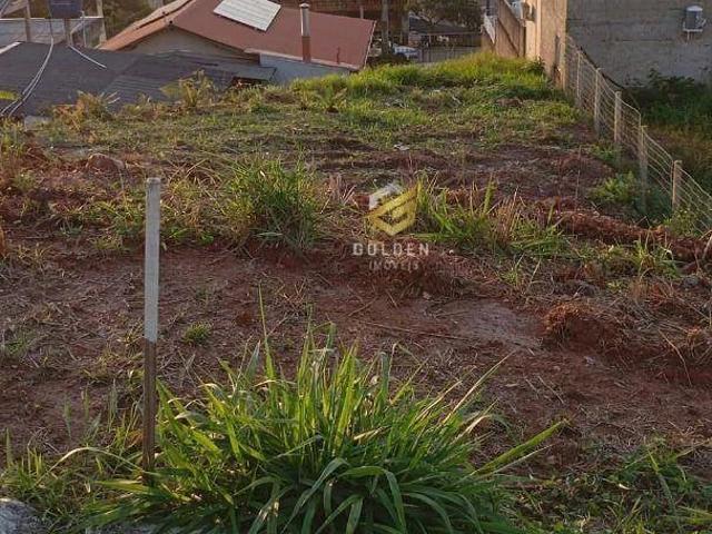 Terreno / Lote para Venda em Camboriú/SC Tabuleiro