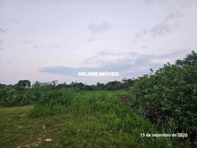 Terreno / Lote para Venda em Camboriú/SC Tabuleiro