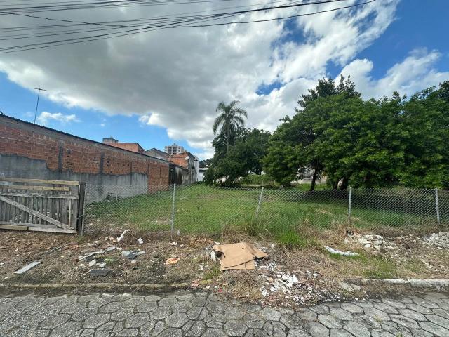Terreno / Lote para Venda em Camboriú/SC Tabuleiro