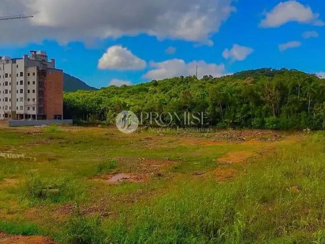 Terreno / Lote para Venda em Camboriú/SC Várzea do Ranchinho