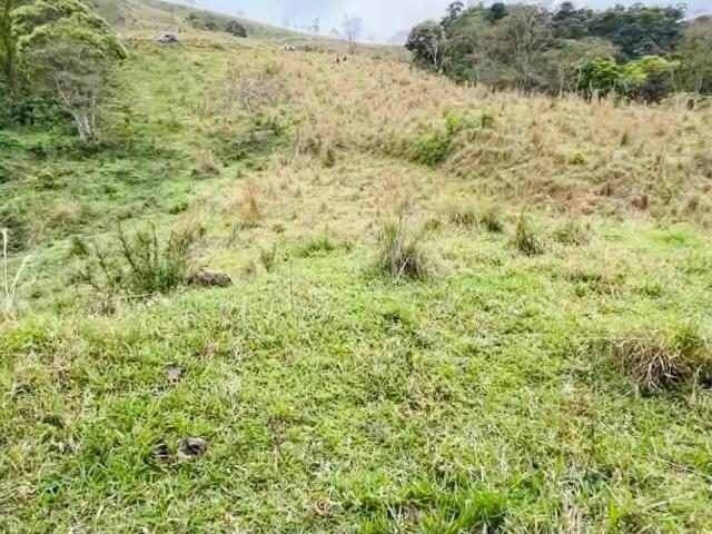 Terreno / Lote para Venda em Cambuí/MG Zona Rural