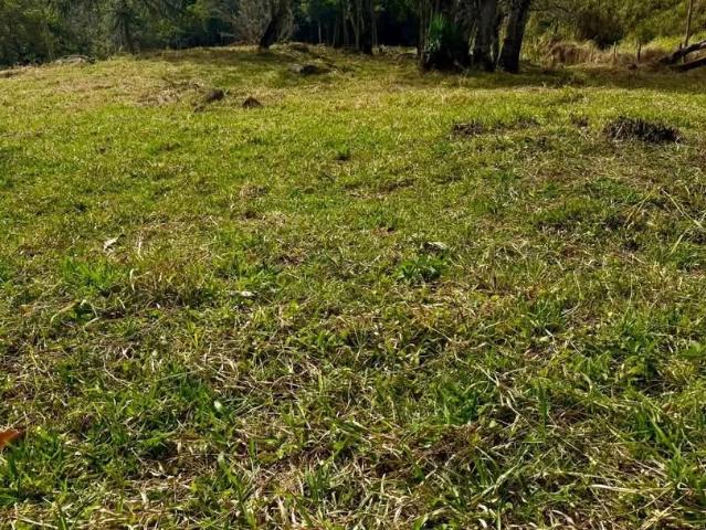 Terreno / Lote para Venda em Cambuí/MG Zona Rural