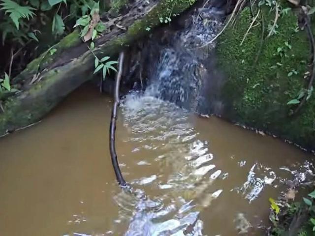 Terreno / Lote para Venda em Cambuí/MG Centro