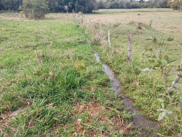 Terreno / Lote para Venda em Cambuí/MG Rio Do Peixe