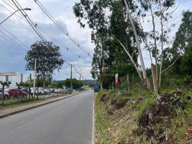 Terreno / Lote para Venda em Campina Grande do Sul/PR Zona Rural