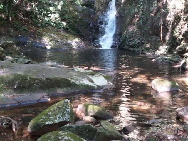 Terreno / Lote para Venda em Campina Grande do Sul/PR Área Rural