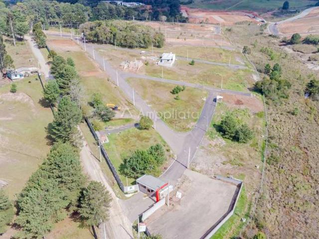 Terreno / Lote para Venda em Campina Grande do Sul/PR Caraguatá
