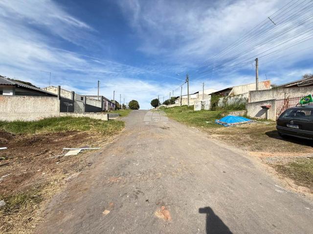 Terreno / Lote para Venda em Campina Grande do Sul/PR Centro