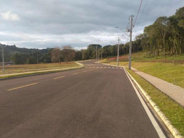 Terreno / Lote para Venda em Campina Grande do Sul/PR Jardim Daher