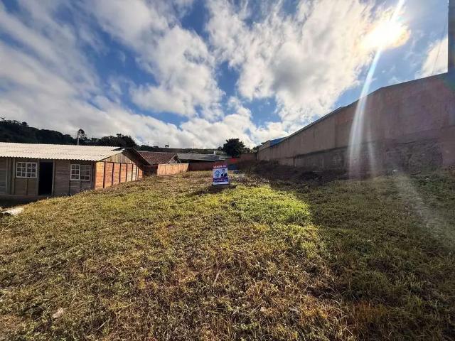 Terreno / Lote para Venda em Campina Grande do Sul/PR Jardim João Paulo II