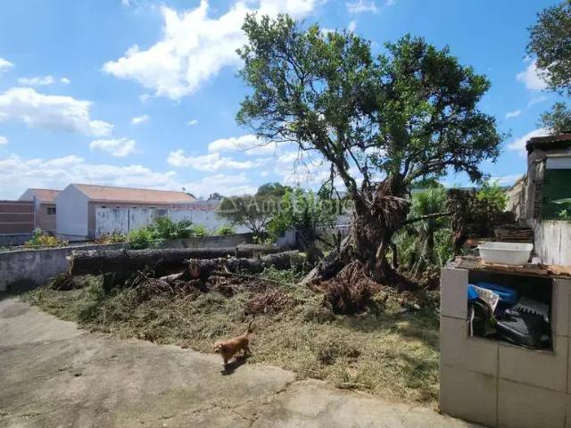 Terreno / Lote para Venda em Campina Grande do Sul/PR Jardim Nesita 3 Quartos