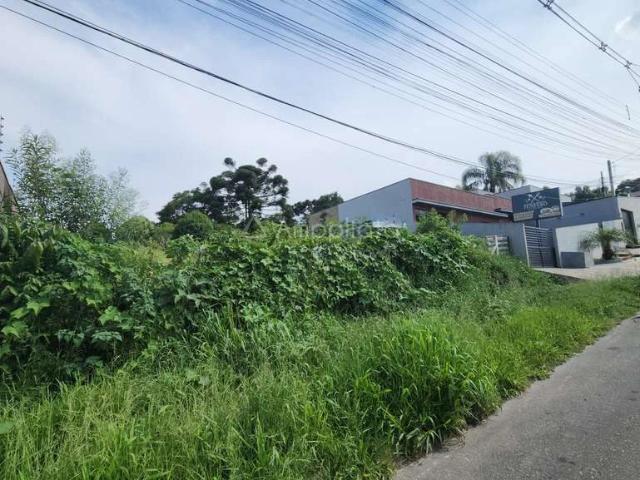 Terreno / Lote para Venda em Campina Grande do Sul/PR Jardim Nesita