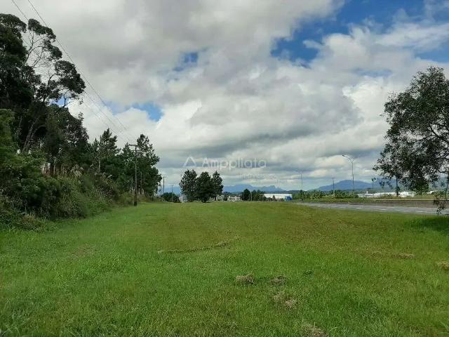 Terreno / Lote para Venda em Campina Grande do Sul/PR Jardim Paulista