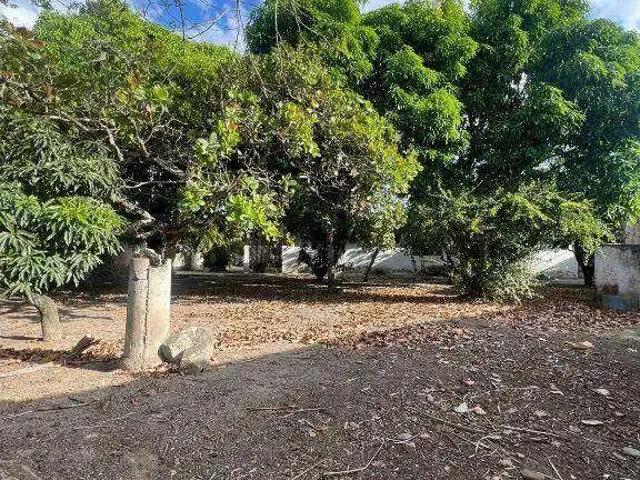 Terreno / Lote para Venda em Campina Grande/PB Mirante