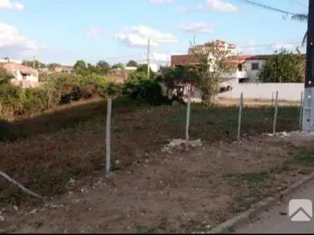 Terreno / Lote para Venda em Campina Grande/PB Nova Brasília