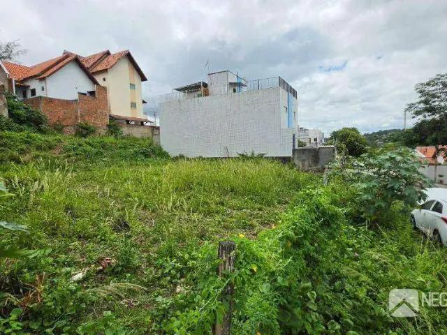 Terreno / Lote para Venda em Campina Grande/PB Alto Branco