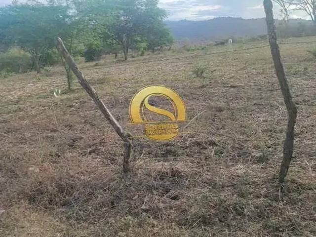 Terreno / Lote para Venda em Campina Grande/PB Centro