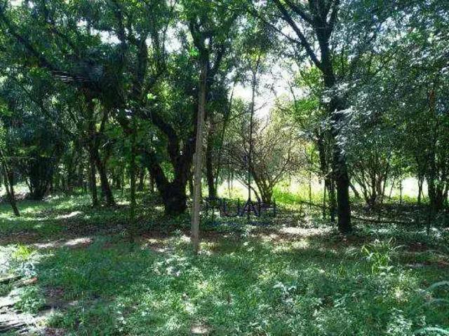 Terreno / Lote para Venda em Campinas/SP Barão Geraldo