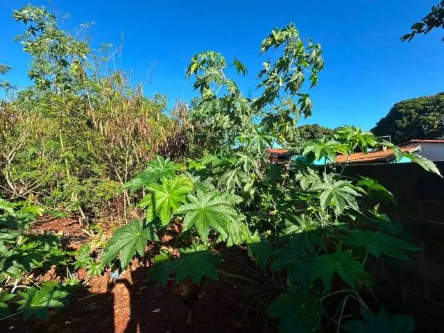 Terreno / Lote para Venda em Campinas/SP Barão Geraldo