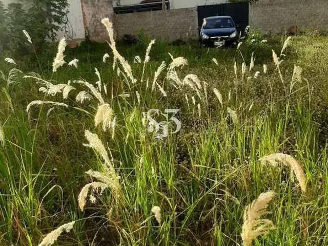 Terreno / Lote para Venda em Campinas/SP Botafogo