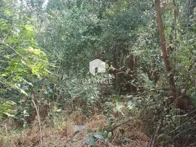 Terreno / Lote para Venda em Campinas/SP Chácara Belvedere 1 Quartos