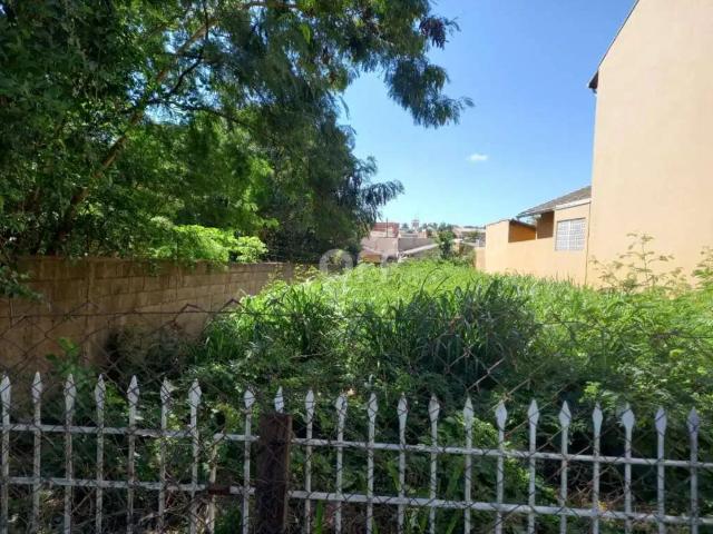 Terreno / Lote para Venda em Campinas/SP Chácara Primavera
