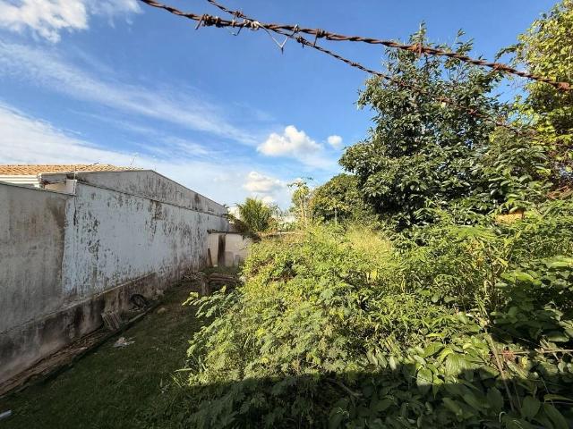 Terreno / Lote para Venda em Campinas/SP Chácara Primavera