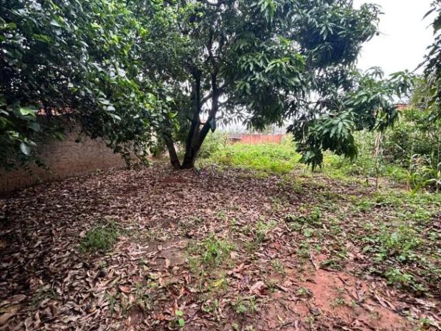 Terreno / Lote para Venda em Campinas/SP Cidade Satélite Íris