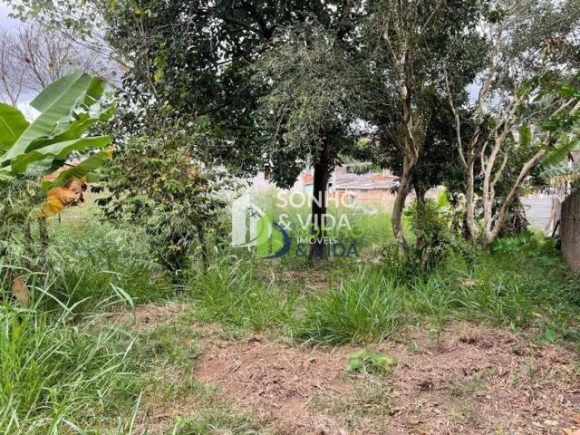 Terreno / Lote para Venda em Campinas/SP Cidade Satélite Íris