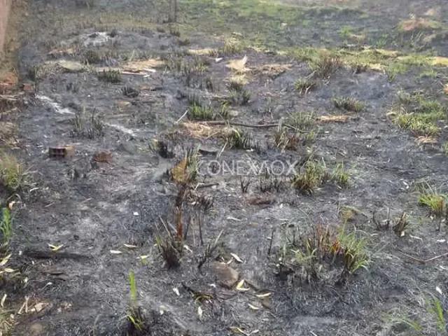 Terreno / Lote para Venda em Campinas/SP Cidade Satélite Íris