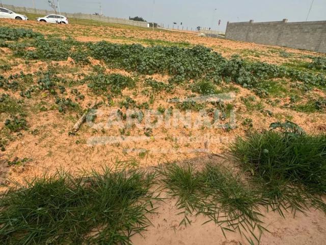 Terreno / Lote para Venda em Campinas/SP Fazenda Pau D'Alho