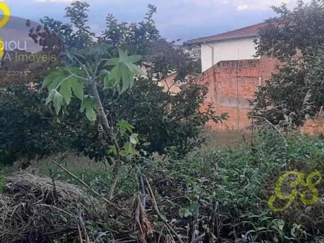 Terreno / Lote para Venda em Campinas/SP Jardim Chapadão