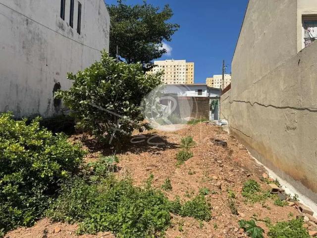 Terreno / Lote para Venda em Campinas/SP Jardim Cura D'Ars