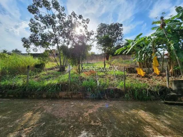 Terreno / Lote para Venda em Campinas/SP Jardim das Paineiras