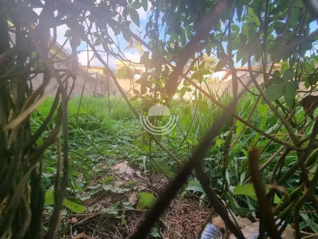 Terreno / Lote para Venda em Campinas/SP Jardim das Paineiras