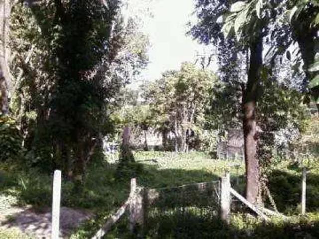 Terreno / Lote para Venda em Campinas/SP Jardim das Paineiras