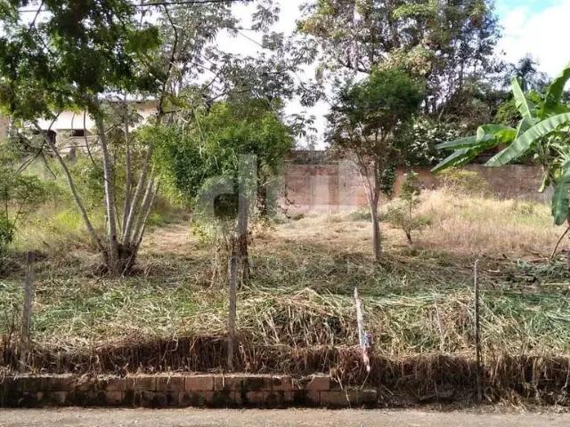 Terreno / Lote para Venda em Campinas/SP Jardim das Paineiras