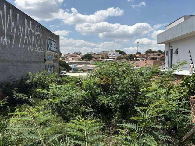 Terreno / Lote para Venda em Campinas/SP Jardim dos Oliveiras