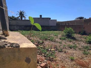 Terreno / Lote para Venda em Campinas/SP Jardim Guanabara