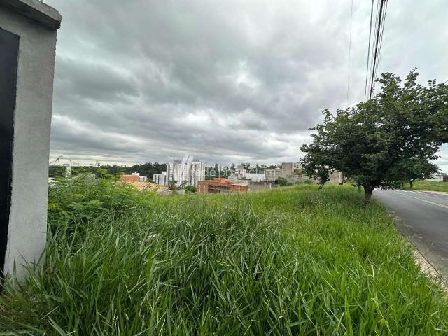 Terreno / Lote para Venda em Campinas/SP Jardim Ibirapuera