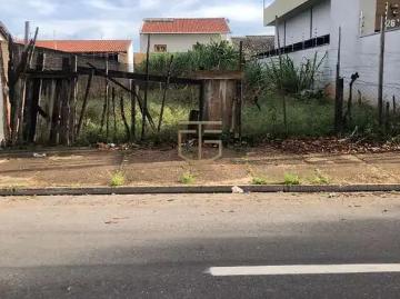 Terreno / Lote para Venda em Campinas/SP Jardim Leonor