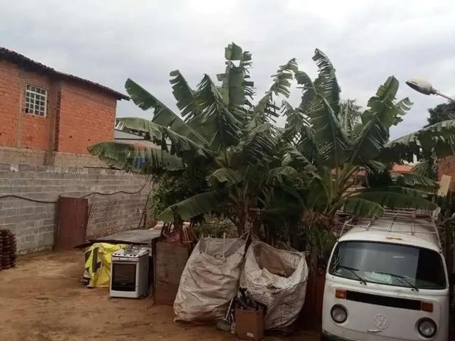Terreno / Lote para Venda em Campinas/SP Jardim Morumbi